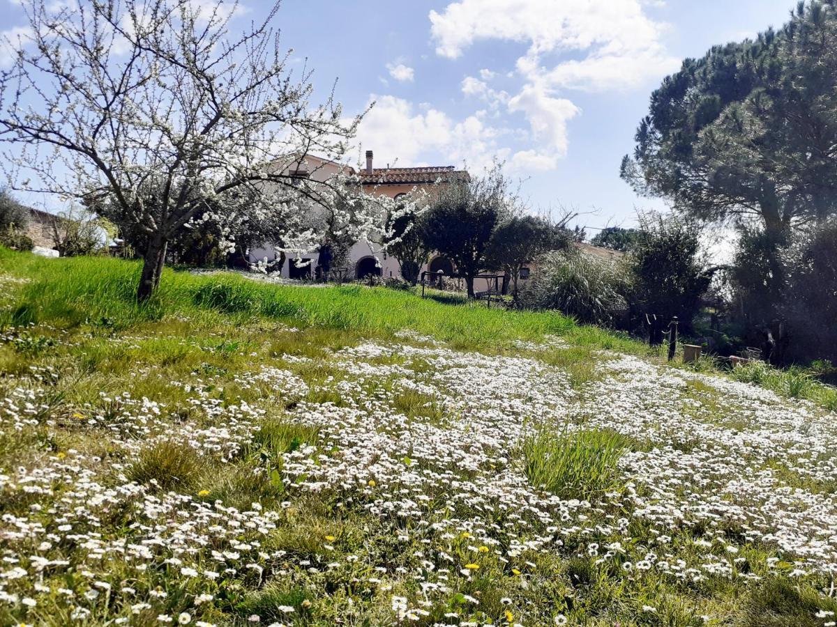 Borgo De' Muracci Ribolla Exterior foto